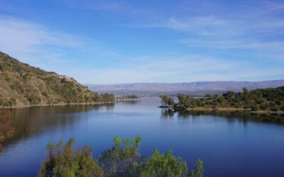 Radiofrecuencia Facial en Córdoba: El Ritual Invisible que Devuelve la Firmeza